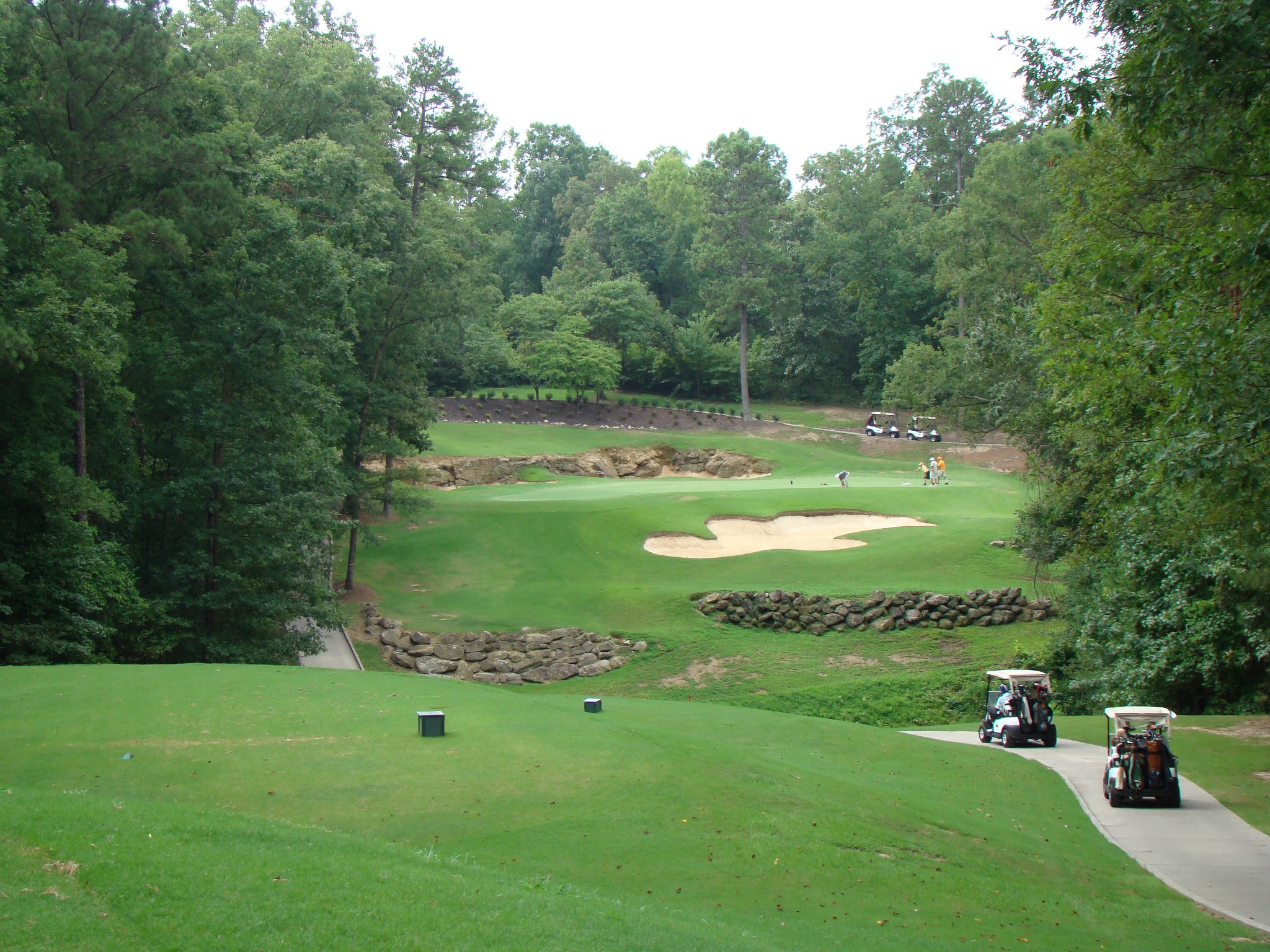 golf course fairway with bunkers and golf carts